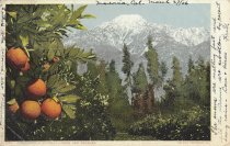 A California Anomaly--Snow and Oranges